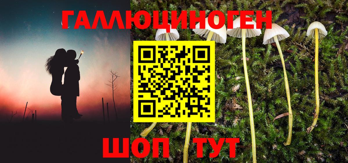 Галлюциногенные грибы Magic Shrooms Печора
